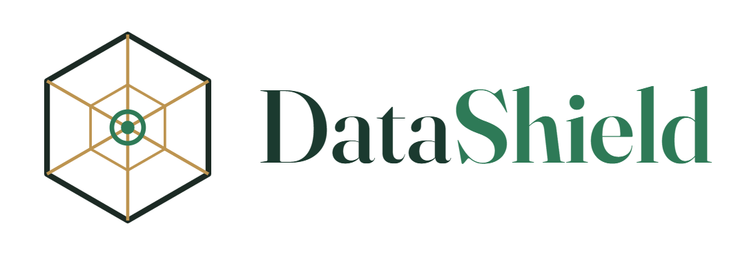 DataShield Consulting